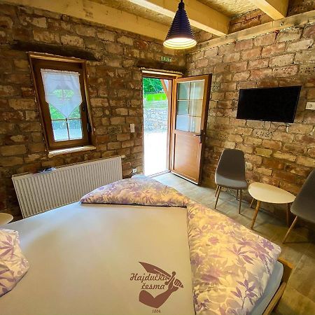Holiday Park Hajducka Cesma Dubovsko Kültér fotó