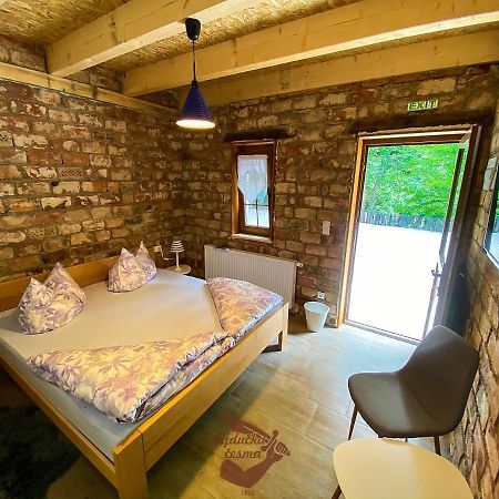 Holiday Park Hajducka Cesma Dubovsko Kültér fotó