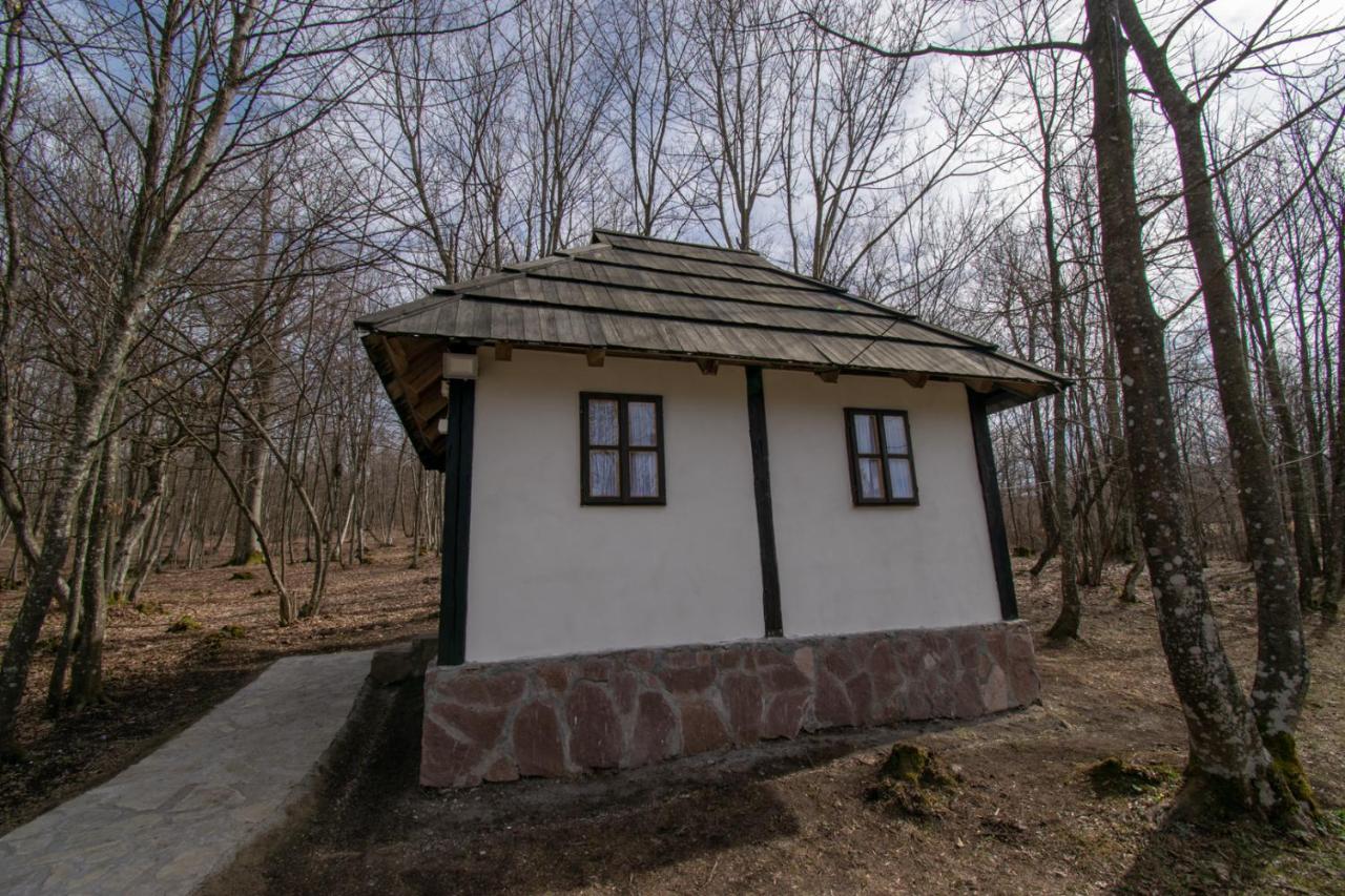 Holiday Park Hajducka Cesma Dubovsko Kültér fotó