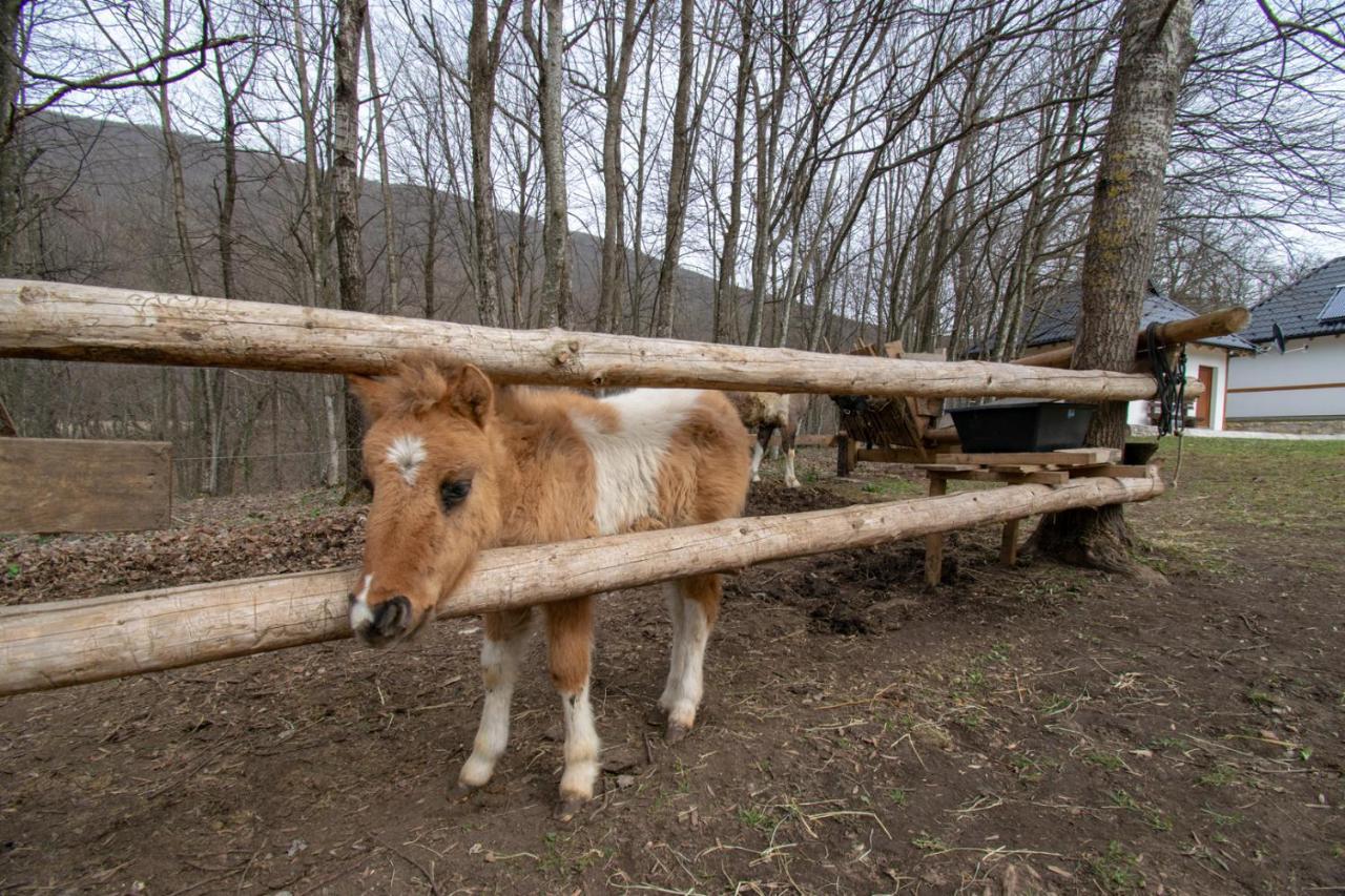 Holiday Park Hajducka Cesma Dubovsko Kültér fotó