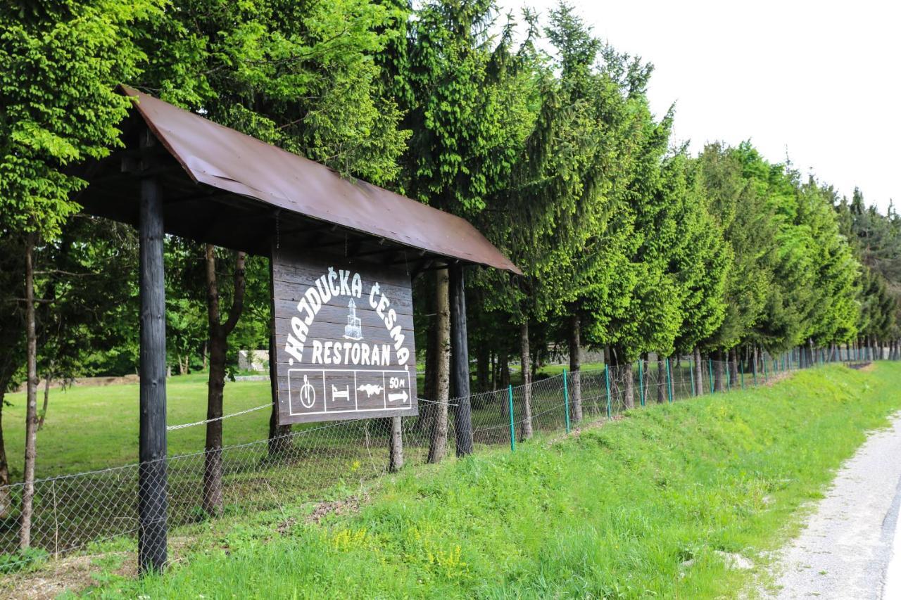 Holiday Park Hajducka Cesma Dubovsko Kültér fotó